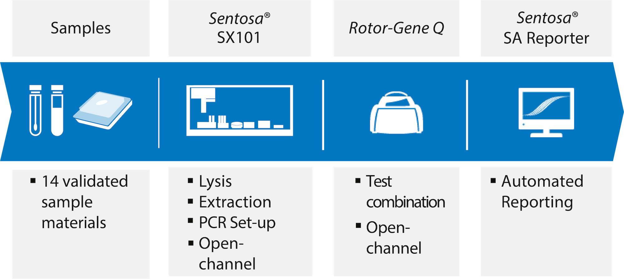 Improve your Testing Efficiency with Vela Diagnostics’ RealTime PCR
